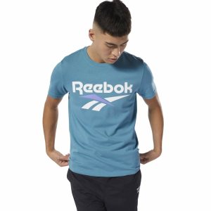 Koszulki Męskie Reebok Classic Vector Zielone PL 13EVUKD